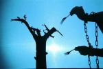 نمایش عروسکی «جانیار» به کارگردانی سید امید حسینی نژاد به مرحله نهایی انتخاب آثار شانزدهمین جشنواره بین المللی نمایش عروسکی تهران – مبارک رسید. 8