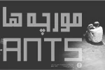 «مورچه ها»ی گاراژ تئاتر در نجف آباد اجرا شد 2
