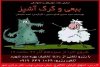 با استقبال مخاطبان نمایش «ببعی و گرگ آشپز» در قم روی صحنه رفت 2