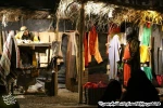 گزارش تصویری نمایش 