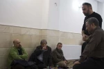 نمایش 