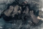 نمایش 