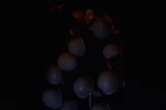 نمایش : وداع با اسلحه /
کارگردان : شاهین سلطانی / عکاس : زهره خانی