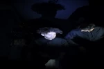 نمایش : اشک خدا /
کارگردان : مرضیه بنی علی / عکاس : زهره خانی