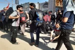 دو نمایش 