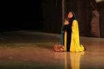 نمایش 