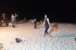 نمایش 