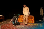 نمایش 