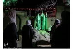 نمایش 