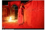 نمایش 
