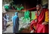 نمایش 