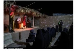 نمایش 